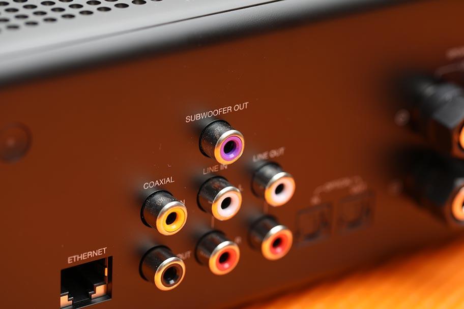 ​Amazon Echo Link Amp subwoofer output| The Master Switch