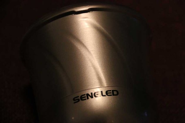 Sengled Pulse